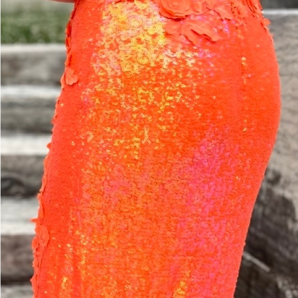 Prom Dress - Picture 8 of 13